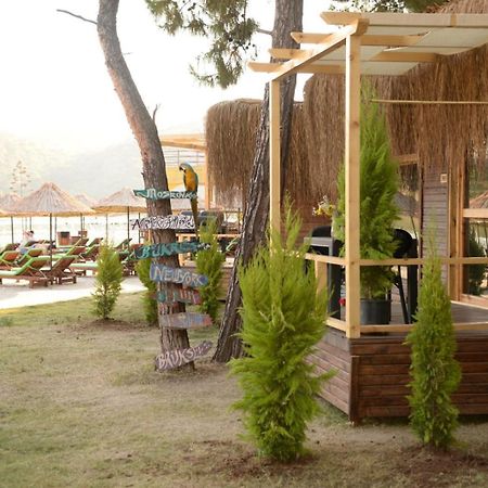 Green Pine Bungalows & Beach Luxury Concept Ölüdeniz Exterior foto