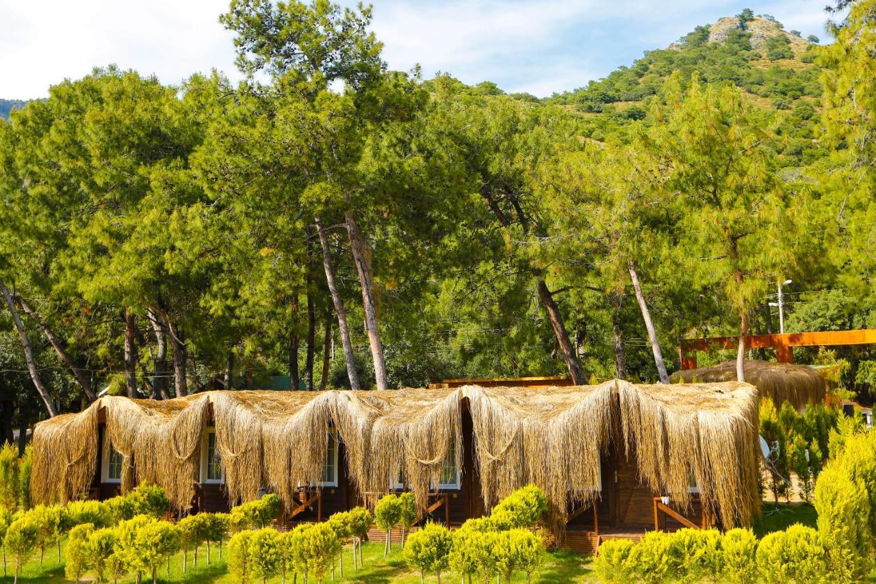 Green Pine Bungalows & Beach Luxury Concept Ölüdeniz Exterior foto