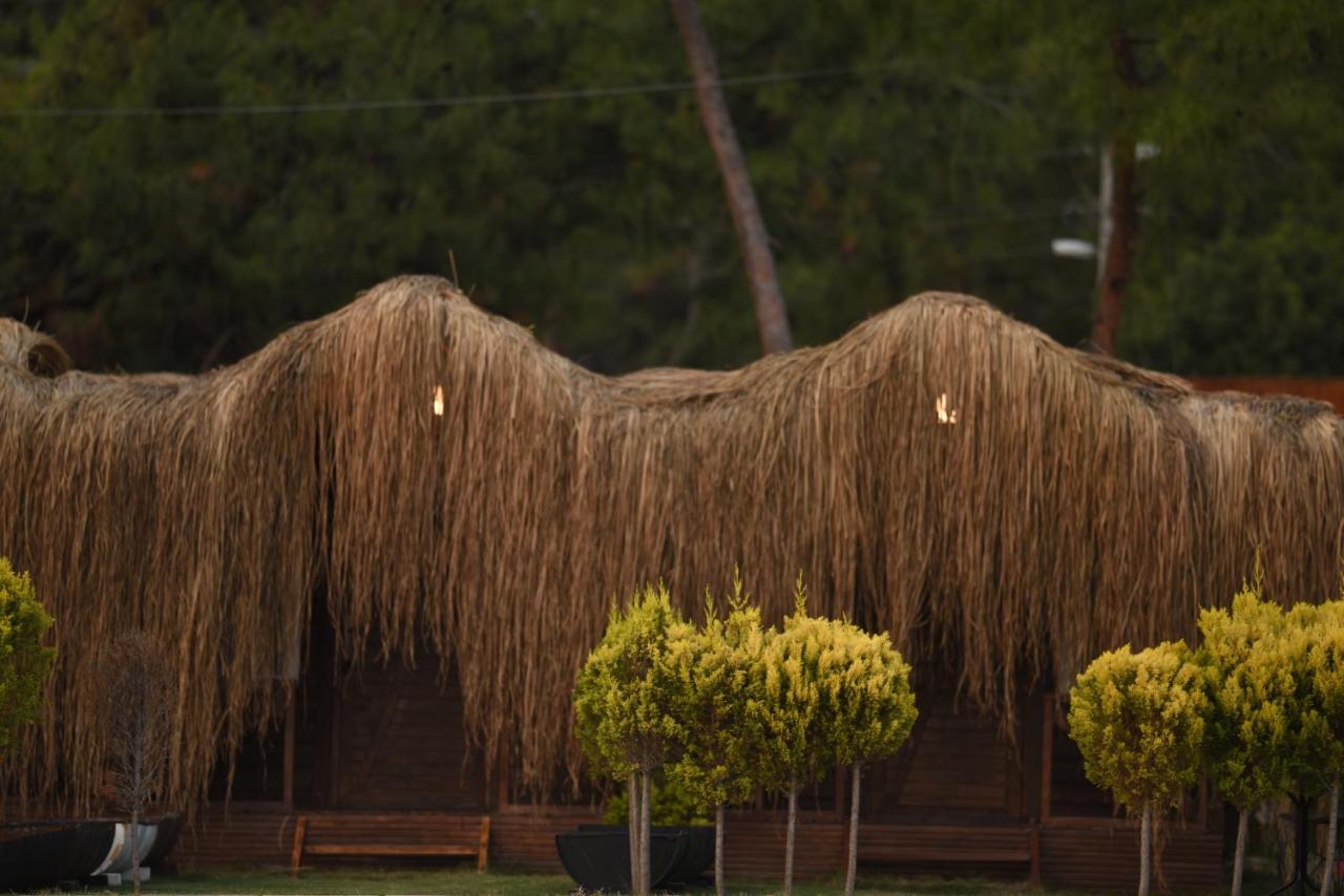 Green Pine Bungalows & Beach Luxury Concept Ölüdeniz Exterior foto