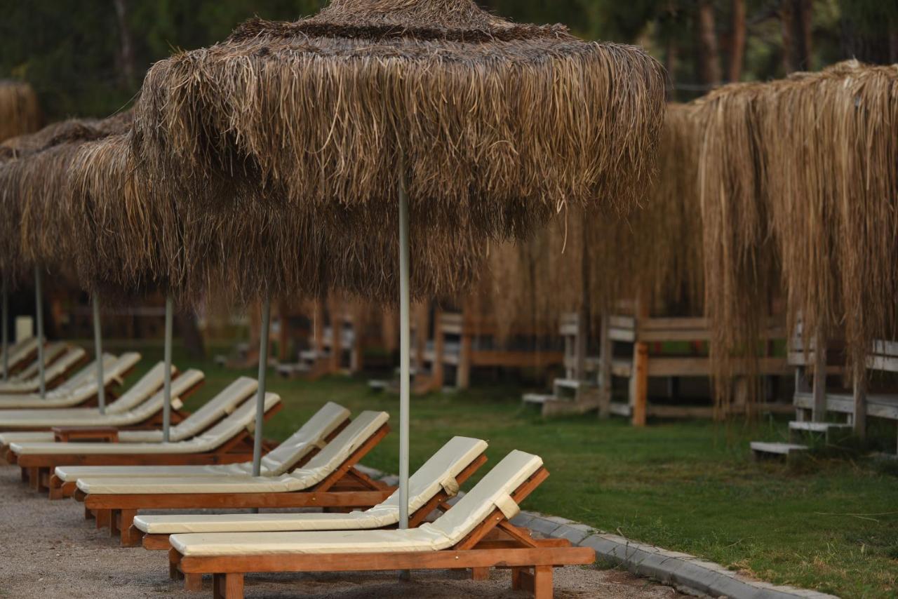 Green Pine Bungalows & Beach Luxury Concept Ölüdeniz Exterior foto