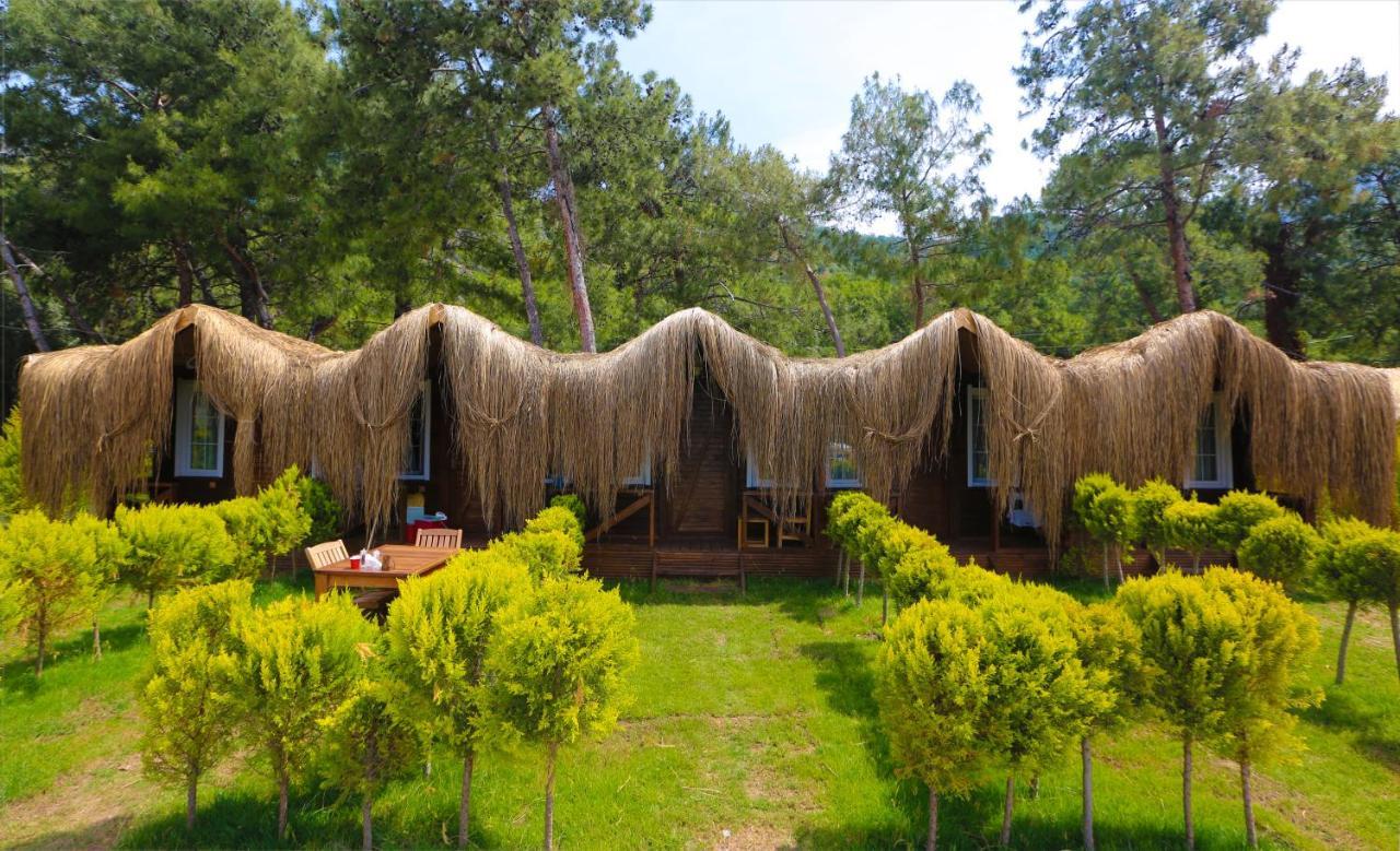 Green Pine Bungalows & Beach Luxury Concept Ölüdeniz Exterior foto