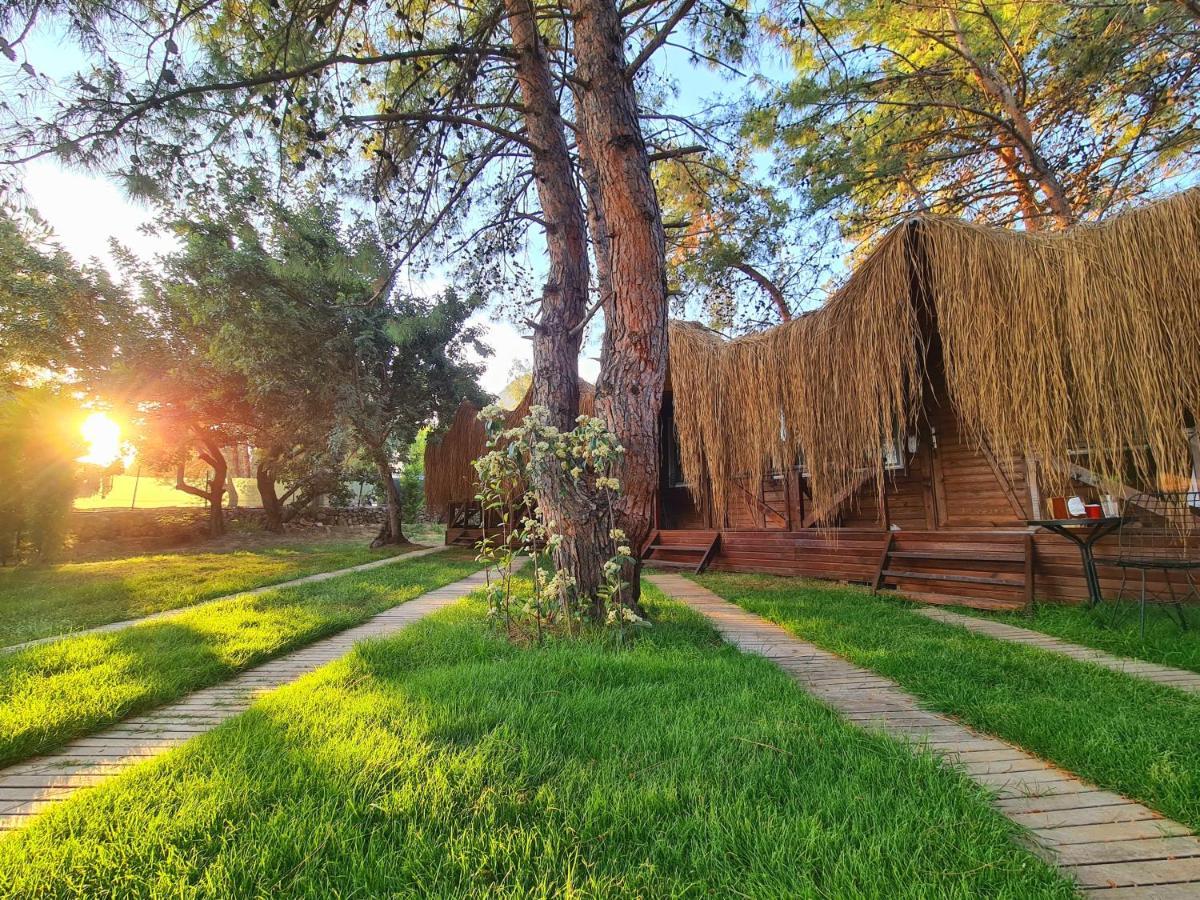 Green Pine Bungalows & Beach Luxury Concept Ölüdeniz Exterior foto