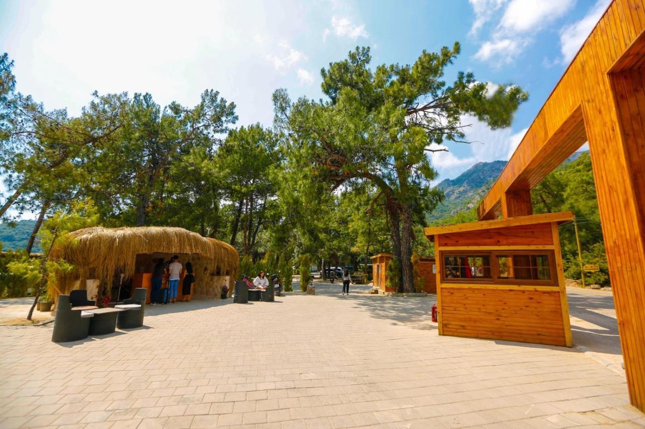 Green Pine Bungalows & Beach Luxury Concept Ölüdeniz Exterior foto