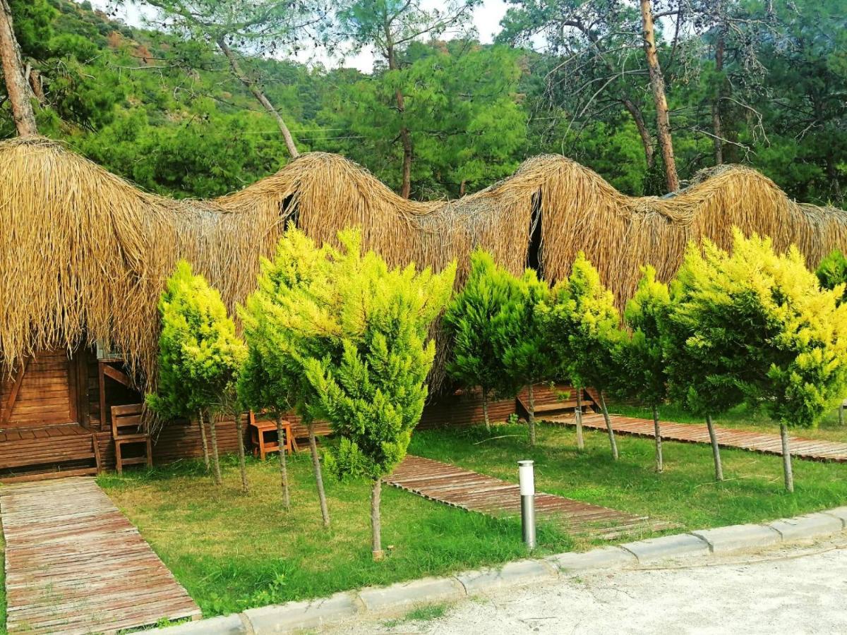 Green Pine Bungalows & Beach Luxury Concept Ölüdeniz Exterior foto