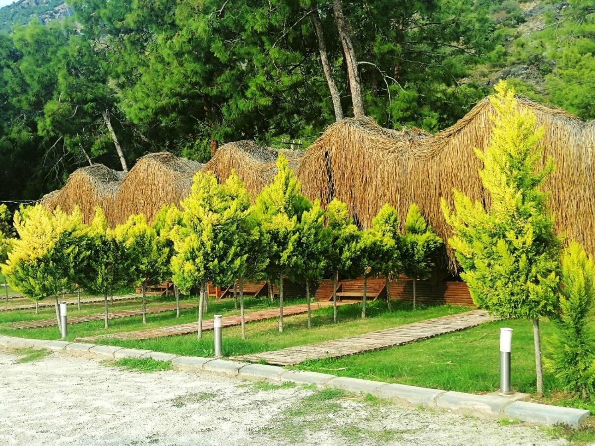 Green Pine Bungalows & Beach Luxury Concept Ölüdeniz Exterior foto