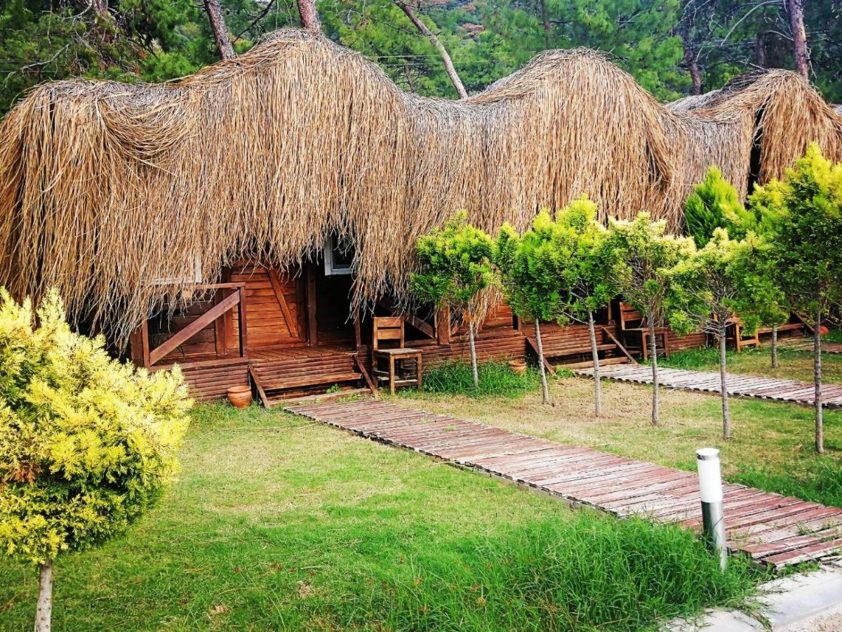 Green Pine Bungalows & Beach Luxury Concept Ölüdeniz Exterior foto