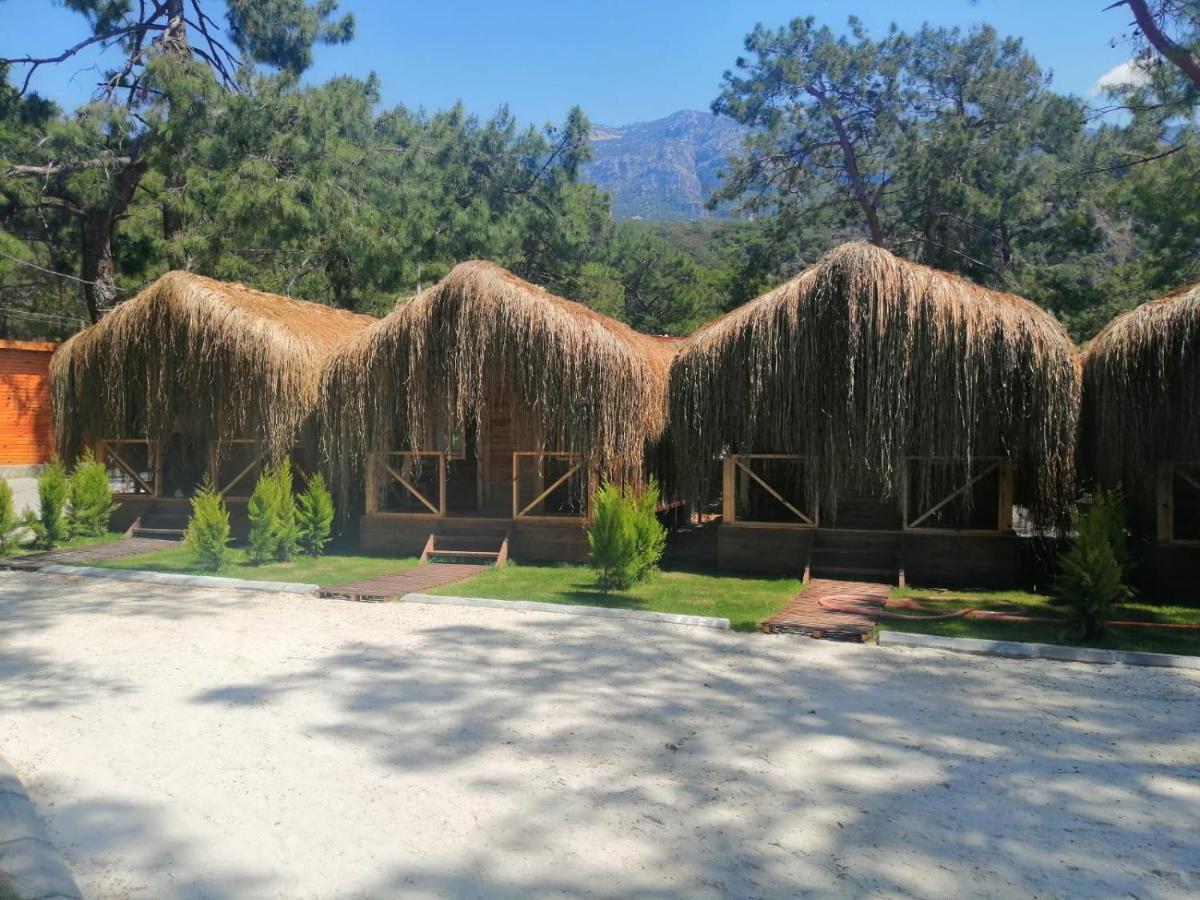 Green Pine Bungalows & Beach Luxury Concept Ölüdeniz Exterior foto
