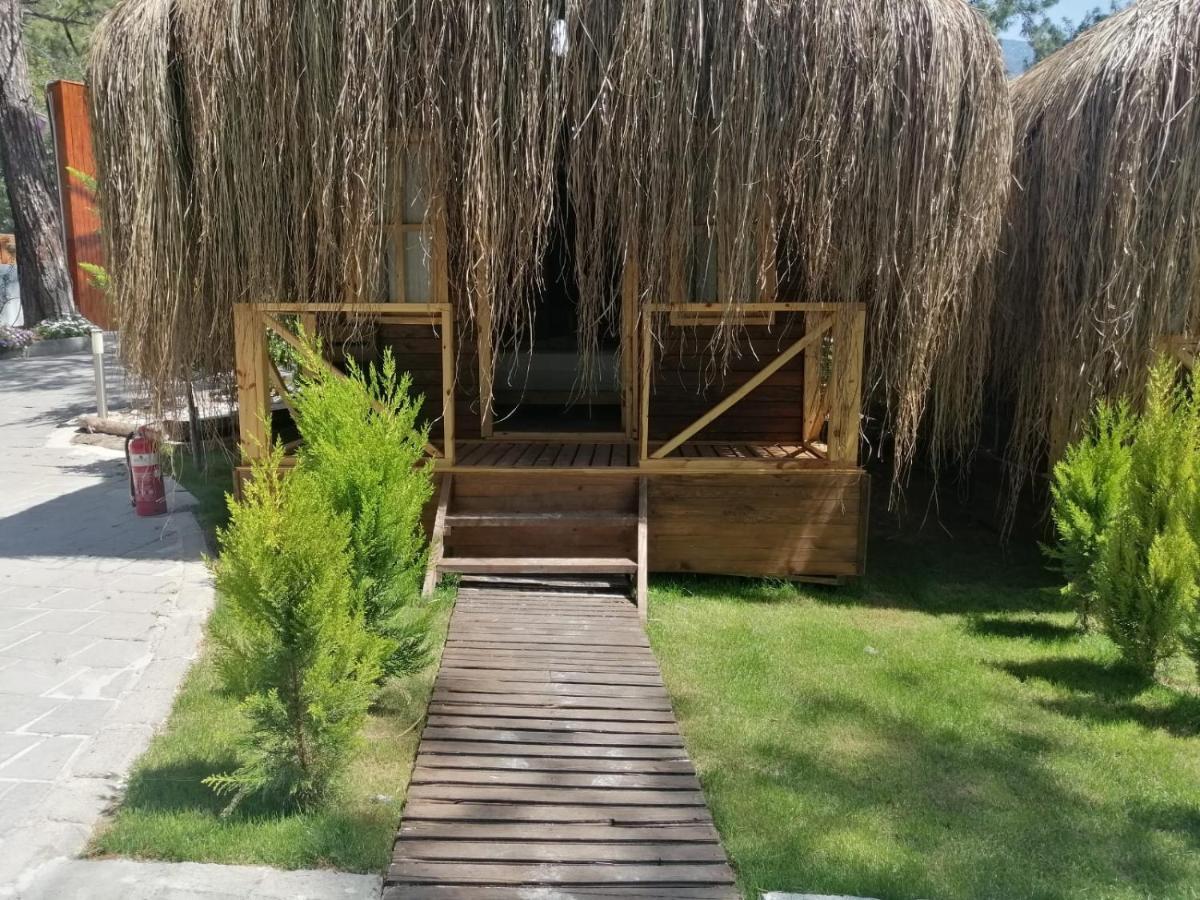 Green Pine Bungalows & Beach Luxury Concept Ölüdeniz Exterior foto