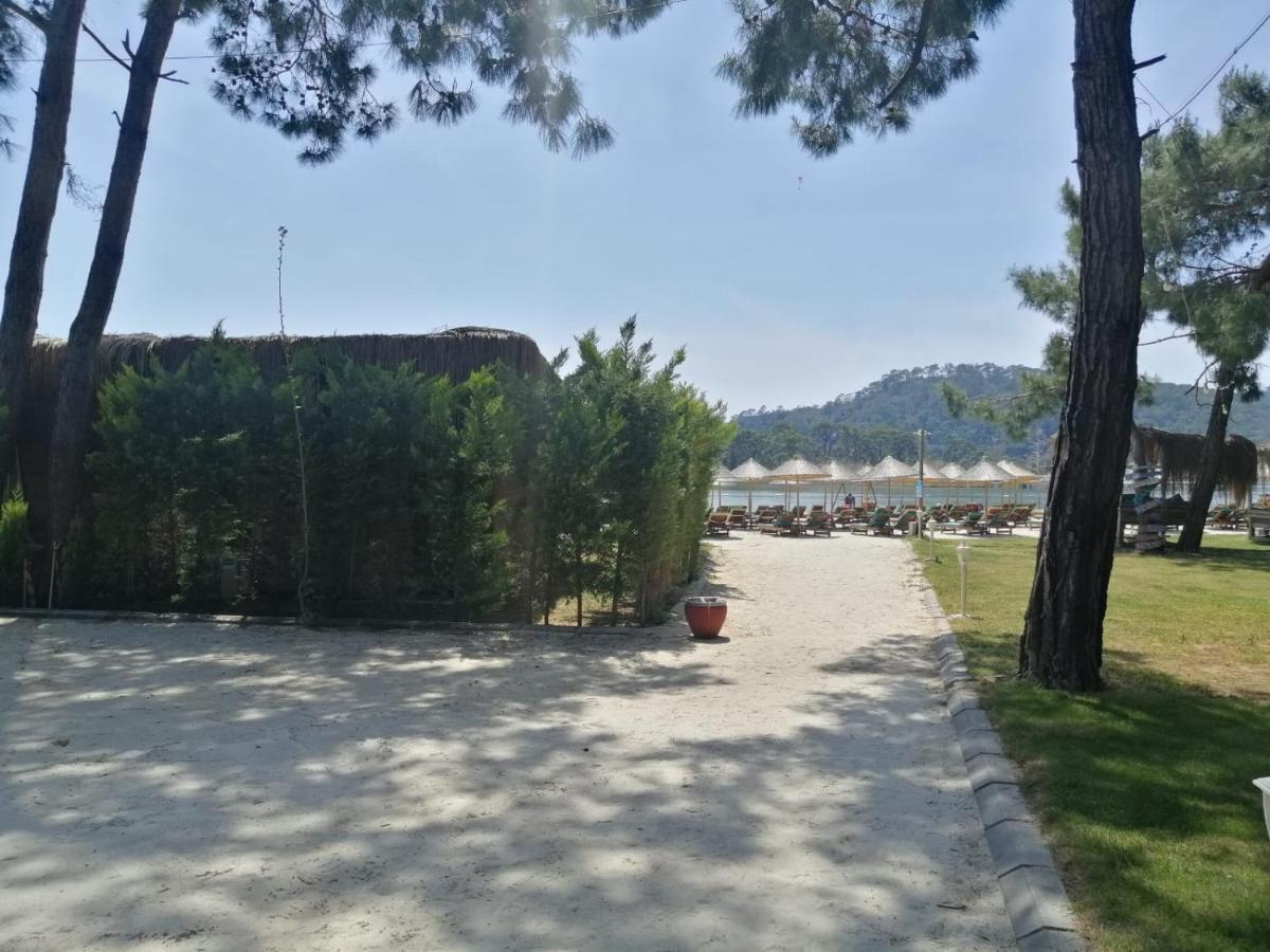 Green Pine Bungalows & Beach Luxury Concept Ölüdeniz Exterior foto