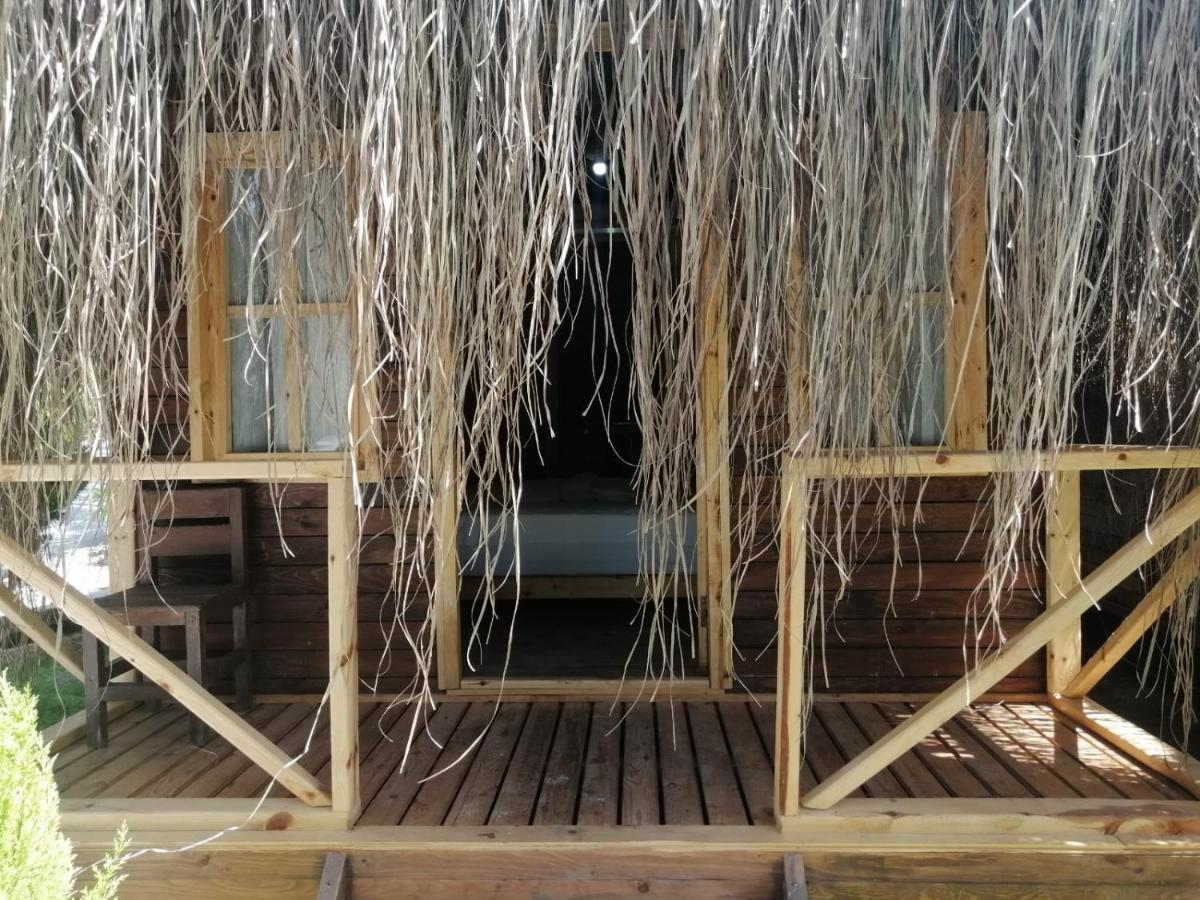Green Pine Bungalows & Beach Luxury Concept Ölüdeniz Exterior foto