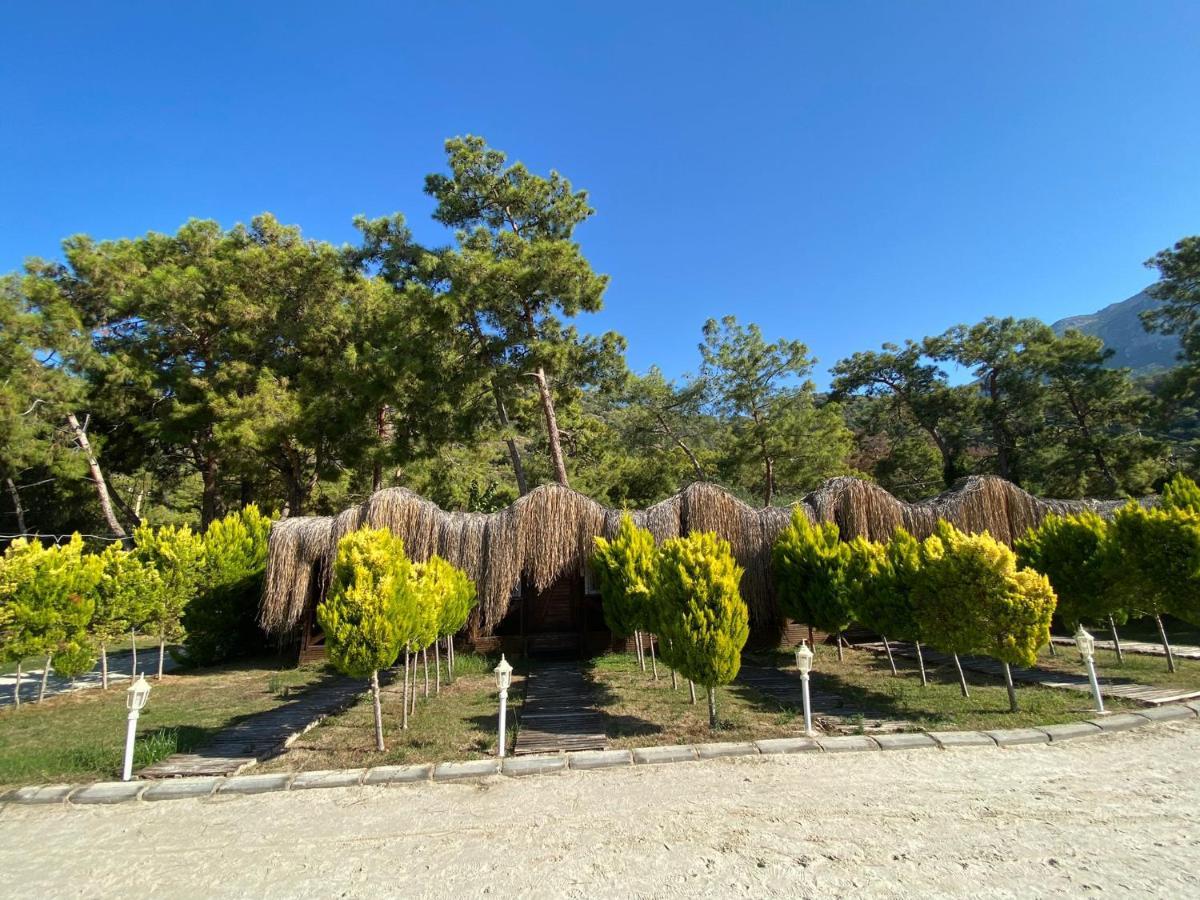 Green Pine Bungalows & Beach Luxury Concept Ölüdeniz Exterior foto