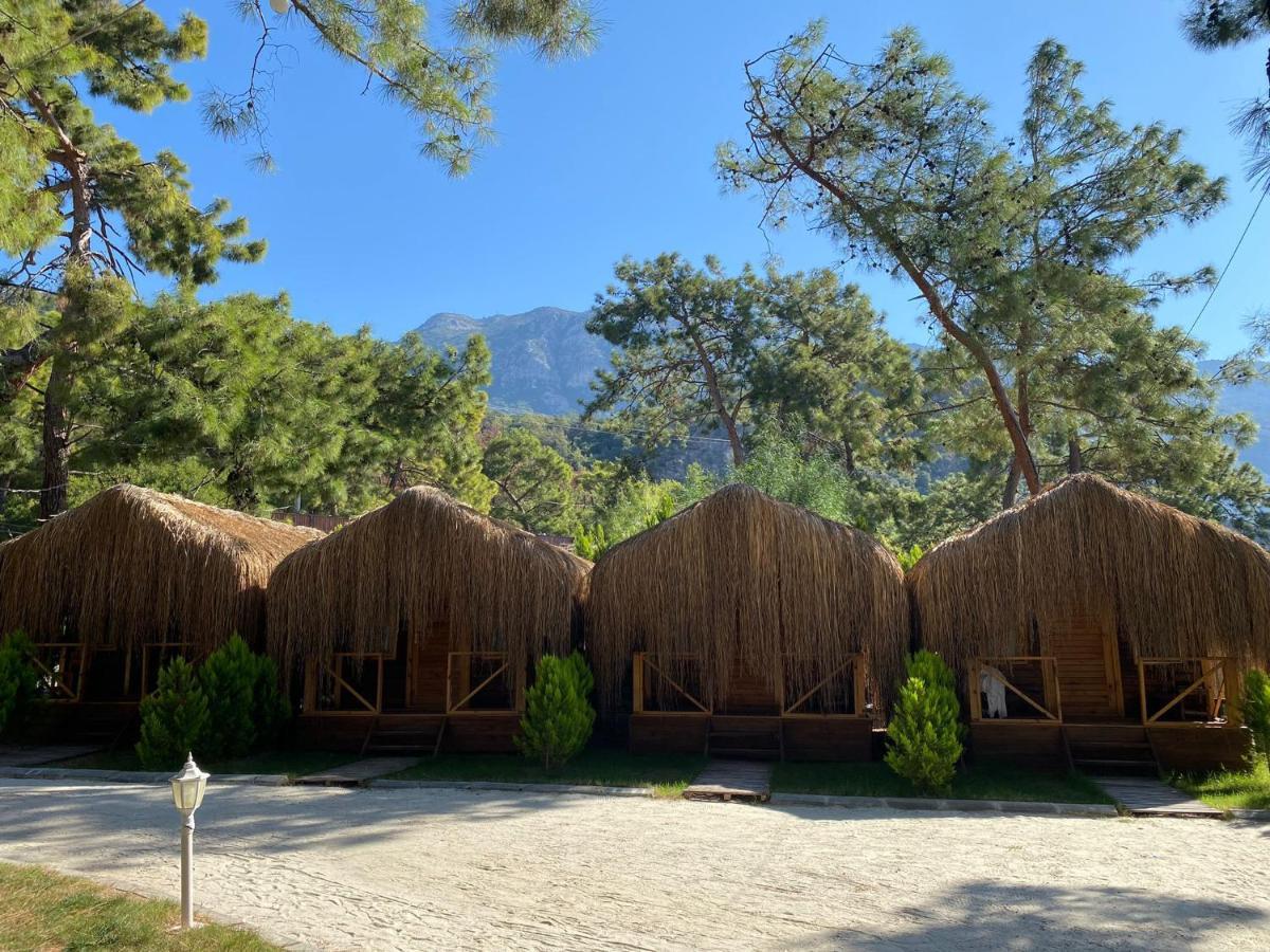 Green Pine Bungalows & Beach Luxury Concept Ölüdeniz Exterior foto