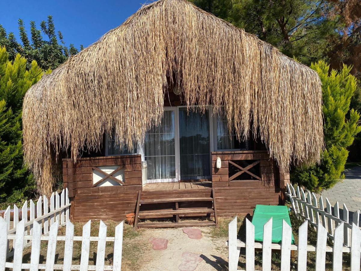 Green Pine Bungalows & Beach Luxury Concept Ölüdeniz Exterior foto