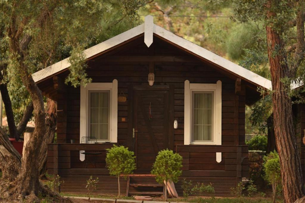 Green Pine Bungalows & Beach Luxury Concept Ölüdeniz Exterior foto