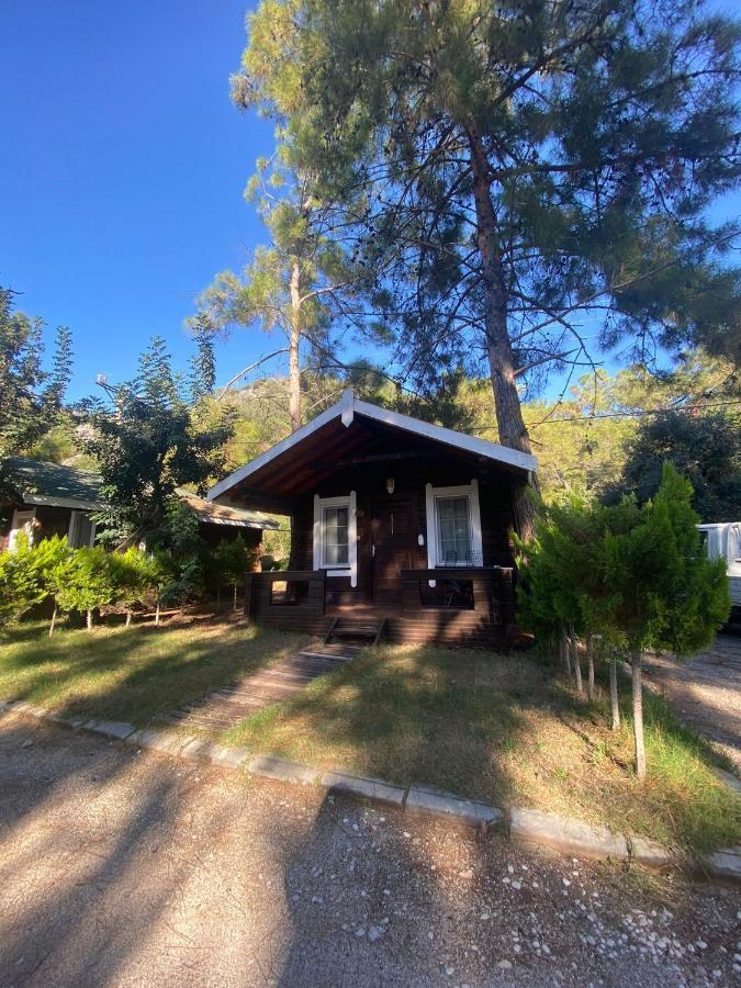 Green Pine Bungalows & Beach Luxury Concept Ölüdeniz Exterior foto