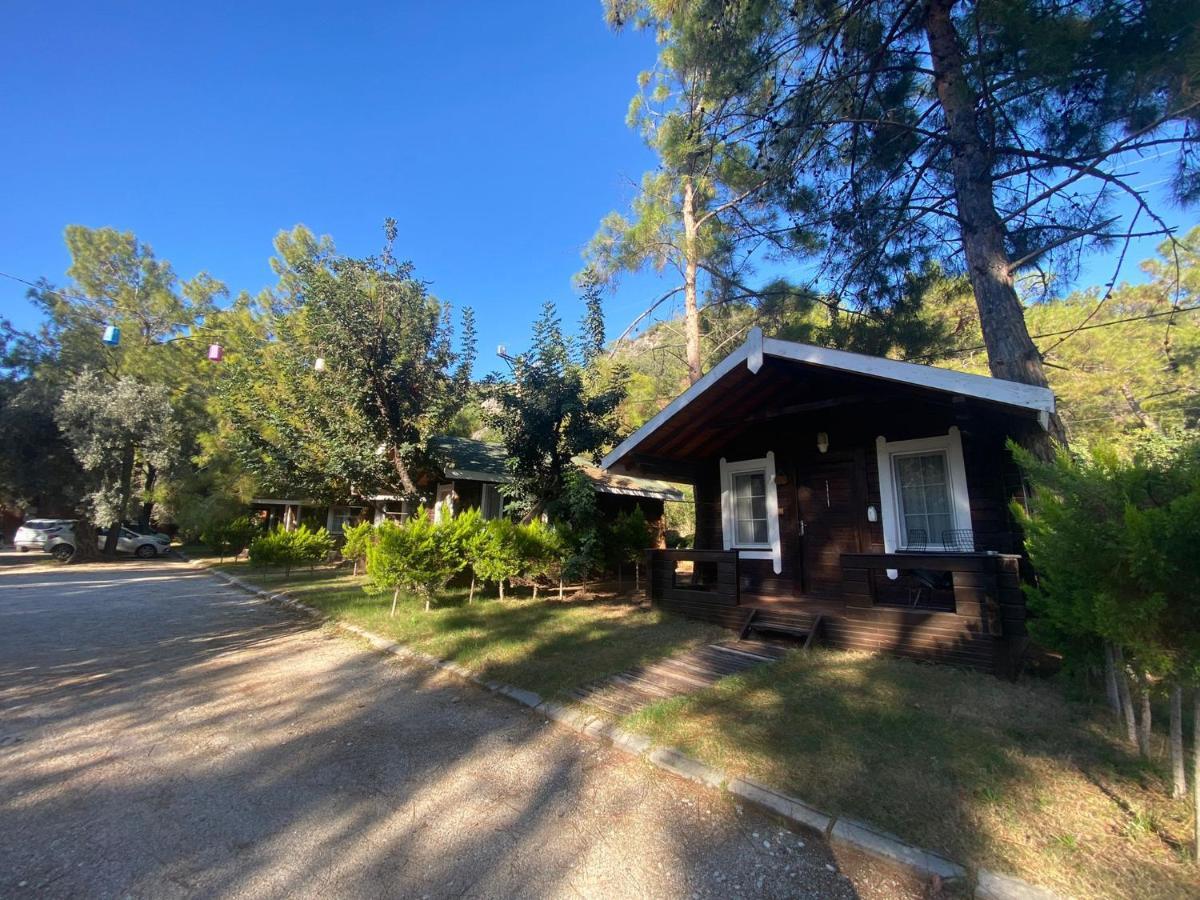 Green Pine Bungalows & Beach Luxury Concept Ölüdeniz Exterior foto