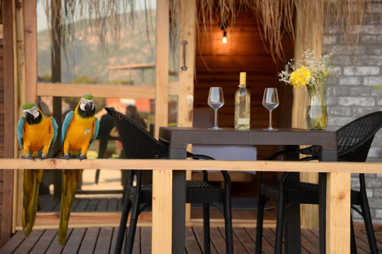 Green Pine Bungalows & Beach Luxury Concept Ölüdeniz Exterior foto